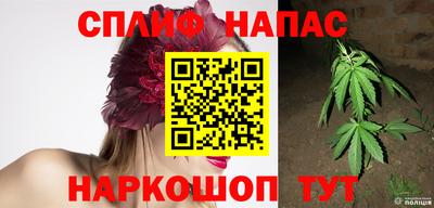 МДПВ Заводоуковск