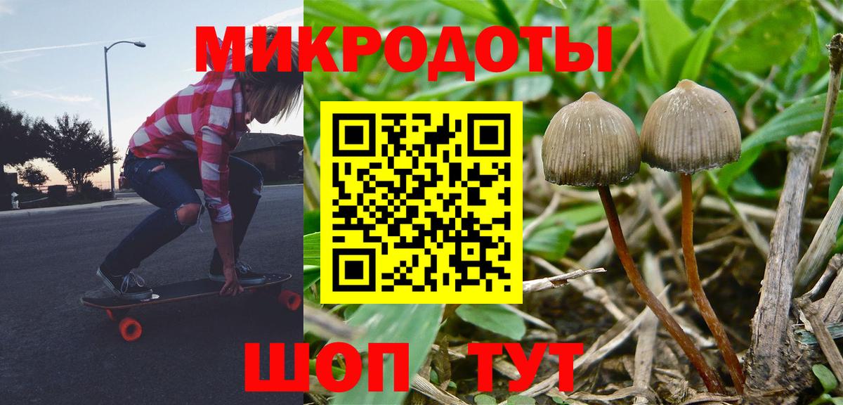 Лангепас  где найти   Галлюциногенные грибы Cubensis  Вход с VPN  Псилоцибиновые грибы мухоморы 